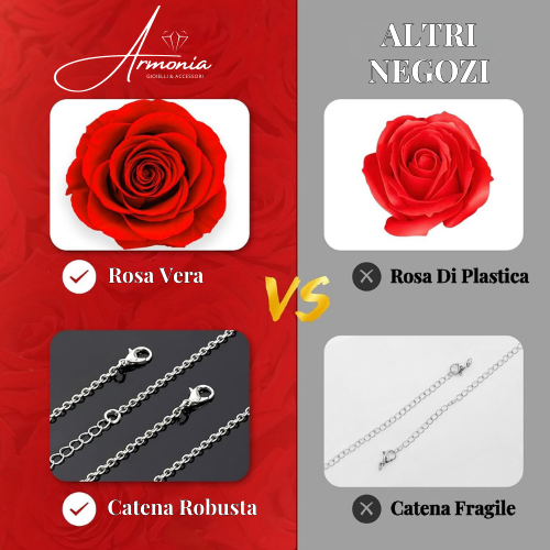 Orso Rosso Con Rosa Eterna e Collana Al Suo Interno - Idea Regalo Per Donne